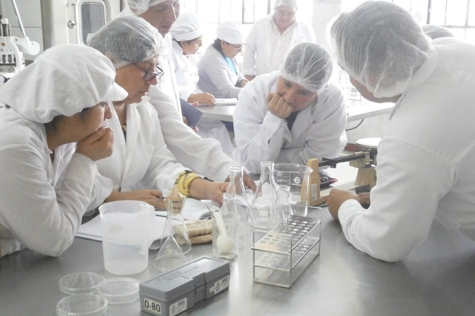 DESARROLLO E IMPLEMENTACION